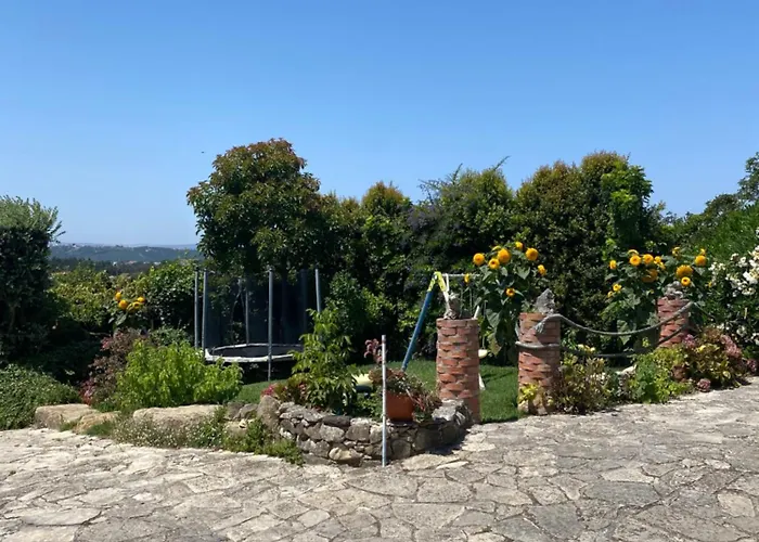 Pateo Do Duque * Salir de Matos